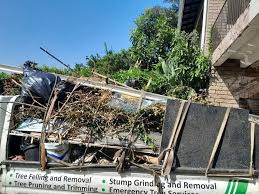 Best Estate Cleanout  in Marion, KY