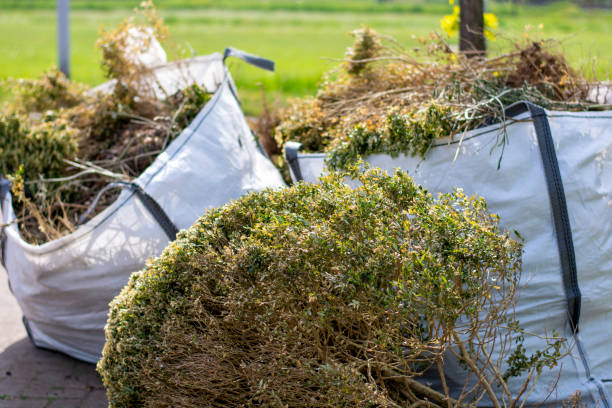 Best Electronics and E-Waste Disposal  in Marion, KY